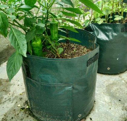 ISO9001 Waterproof PVC Tarpaulin Polyester Potato Grow Bags